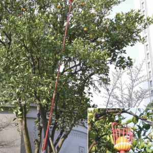 my 1024 fruit picker