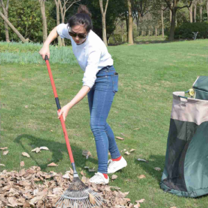 my 1021 leaf rake